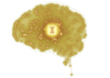 Neuro-Symbolic Programs as Compression, Coordination, and Alignment