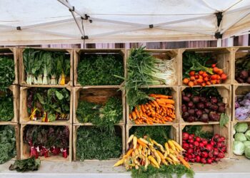 TDS Publication: November Should-Reads on GraphRAG, ML Tasks, LLM-Powered Time-Sequence Evaluation, and Extra