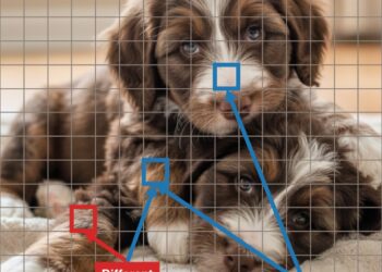 Do Labels Make AI Blind? Self-Supervision Solves the Age-Previous Binding Drawback