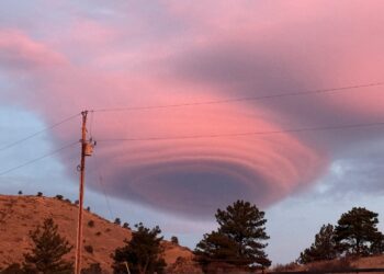 Spectral Neighborhood Detection in Scientific Data Graphs