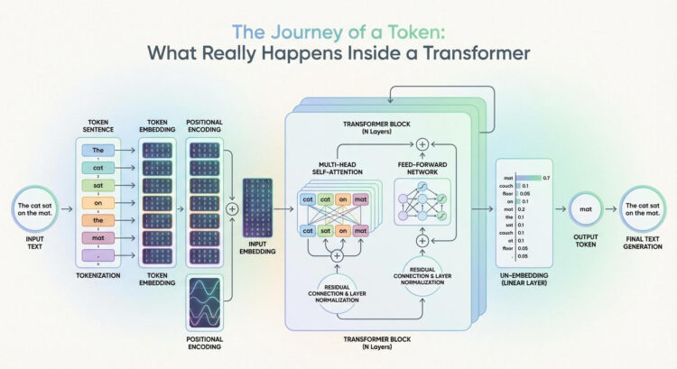 The Journey of a Token: What Actually Occurs Inside a Transformer