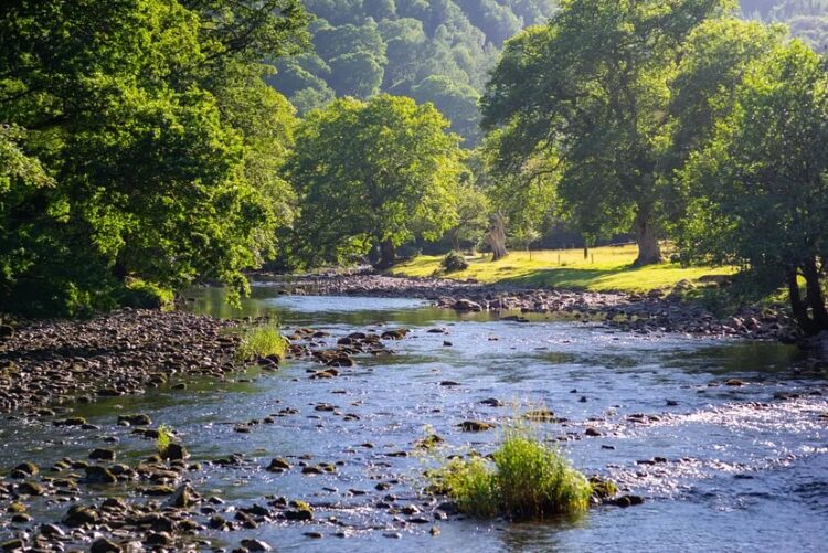 Optimizing Knowledge Switch in AI/ML Workloads