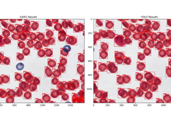 SAM 3 vs. Specialist Fashions — A Efficiency Benchmark