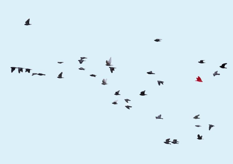 A Geometric Technique to Spot Hallucinations With out an LLM Choose