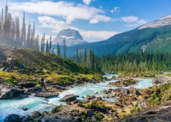 Optimizing Token Technology in PyTorch Decoder Fashions