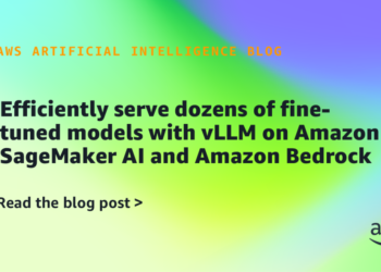 Effectively serve dozens of fine-tuned fashions with vLLM on Amazon SageMaker AI and Amazon Bedrock