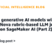 Consider generative AI fashions with an Amazon Nova rubric-based LLM decide on Amazon SageMaker AI (Half 2)