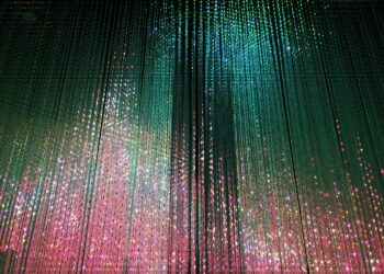 The Knowledge Staff’s Survival Information for the Subsequent Period of Knowledge