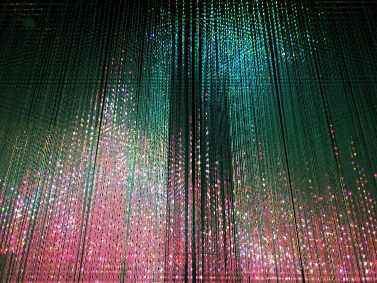 The Knowledge Staff’s Survival Information for the Subsequent Period of Knowledge