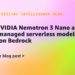 Run NVIDIA Nemotron 3 Nano as a completely managed serverless mannequin on Amazon Bedrock