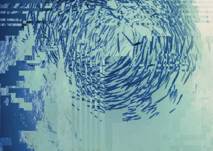 Why Care About Immediate Caching in LLMs?