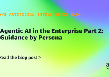 Agentic AI within the Enterprise Half 2: Steerage by Persona