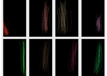 Conduct is the New Credential