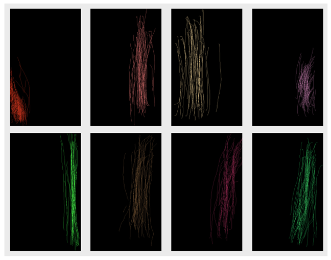 Conduct is the New Credential