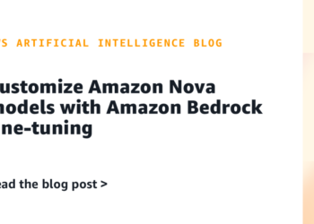 Customise Amazon Nova fashions with Amazon Bedrock fine-tuning