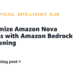 Customise Amazon Nova fashions with Amazon Bedrock fine-tuning