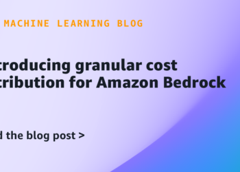 Introducing granular value attribution for Amazon Bedrock