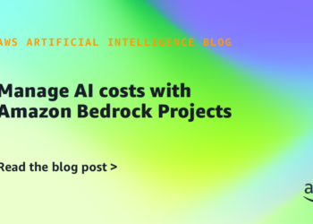 Handle AI prices with Amazon Bedrock Initiatives