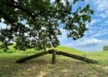 CSPNet Paper Walkthrough: Simply Higher, No Tradeoffs