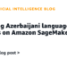Coaching Azerbaijani language fashions on Amazon SageMaker AI