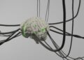 Meta-Cognitive Regulation Would possibly Be the Most Essential AI Talent No one Is Speaking About