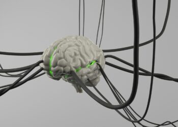 Meta-Cognitive Regulation Would possibly Be the Most Essential AI Talent No one Is Speaking About
