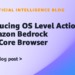 Introducing OS Stage Actions in Amazon Bedrock AgentCore Browser