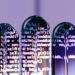 From Information Scientist to AI Architect