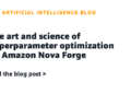 The artwork and science of hyperparameter optimization on Amazon Nova Forge