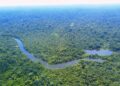 Small Knowledge, Massive Maps: Coaching Geospatial ML Fashions When Samples Are Scarce