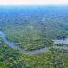 Small Knowledge, Massive Maps: Coaching Geospatial ML Fashions When Samples Are Scarce
