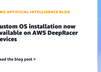 Customized OS set up now out there on AWS DeepRacer gadgets