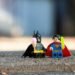 How I’m Making Positive My Analytics Profession Doesn’t Get Eaten by AI