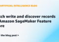 Batch write and uncover data in Amazon SageMaker Characteristic Retailer