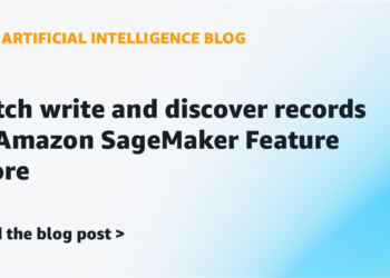 Batch write and uncover data in Amazon SageMaker Characteristic Retailer