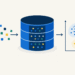 Construct And Perceive a Vector Database From Scratch in 10 Straightforward Steps